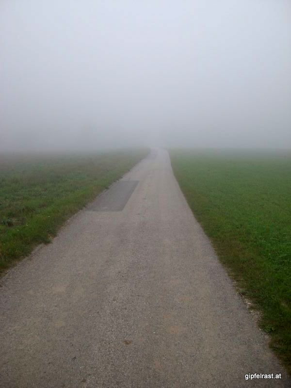 Weg in den Nebel