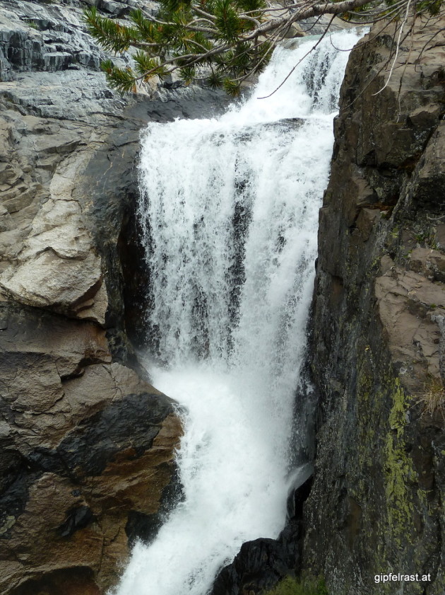 Waterfall of Evolution Creek