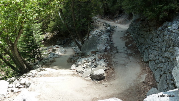 I will soon see more of these on the trail: switchbacks