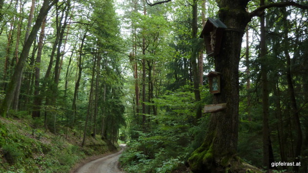 Herrgotteiche im Rohrbacher Wald