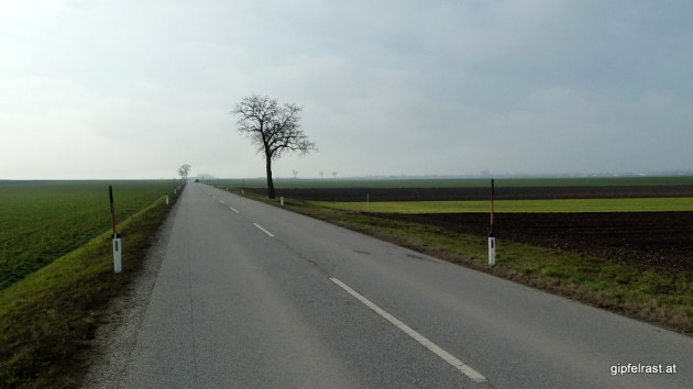 Die Straße nach Frauenkirchen (rechts am Horizont)