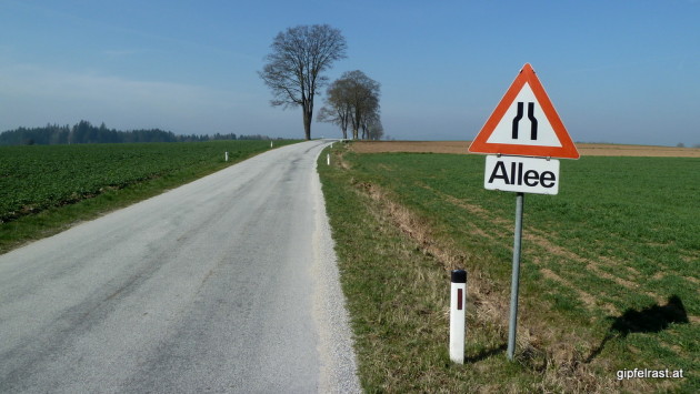 "Allee"