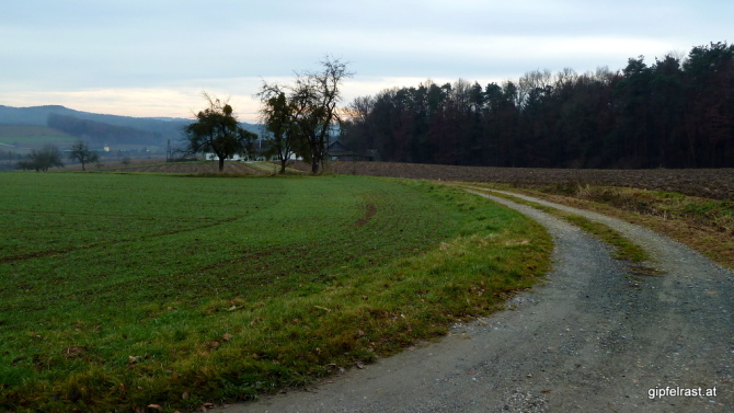 Auf Feldwegen ins Safental