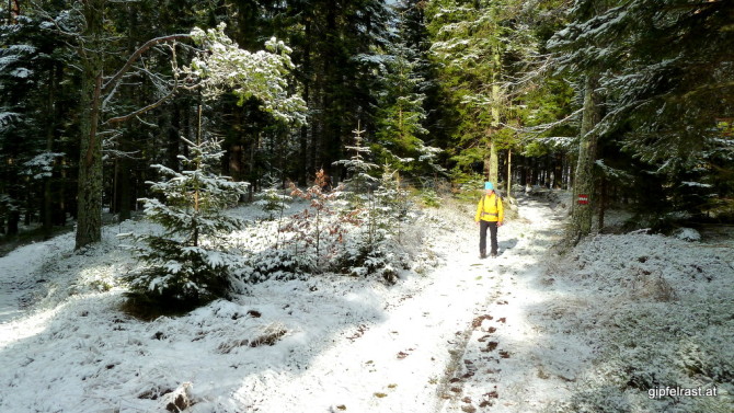 Durch den winterlichen Wald