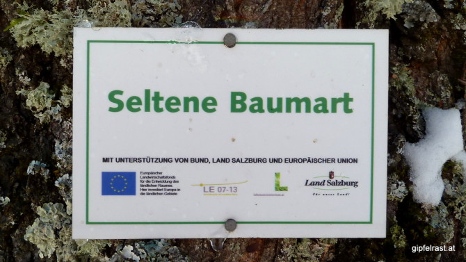 Your tax money at work: Land, Bund und EU proudly present dieses informative Schild!