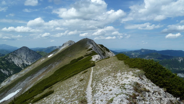 Auf der Mitterbergschneid