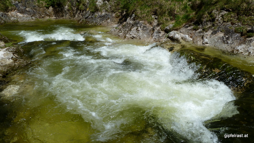 Das glasklare Wasser des Rettenbachs