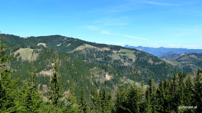 Blick zurück: Rechts der Sattel von Schenkenberg, auf der kleinen Wiese links am Horizont liegt die Gmoaalm