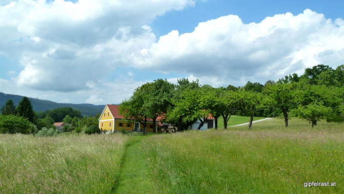 Über Wiesen hinauf nach Rinnegg