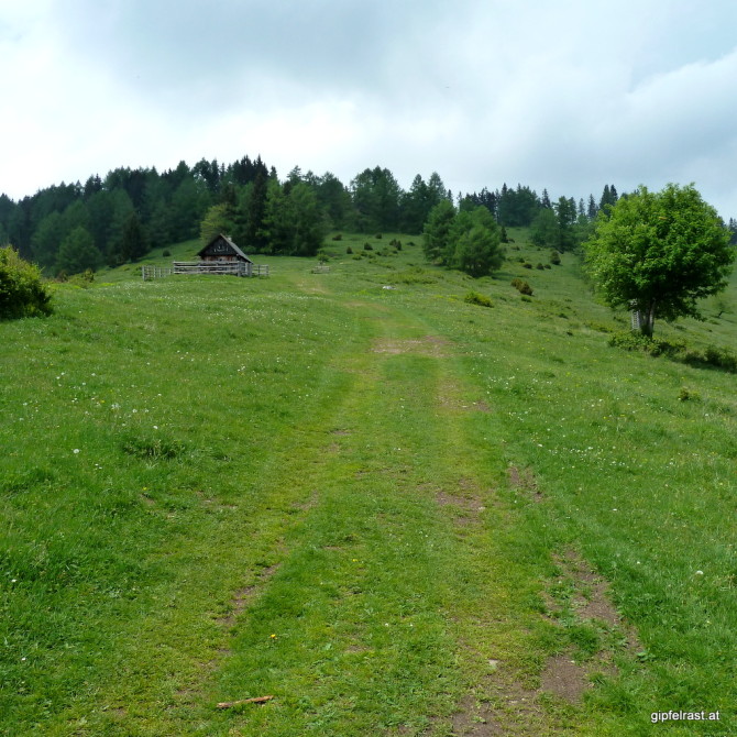 Bei der Ochsenhalthütte