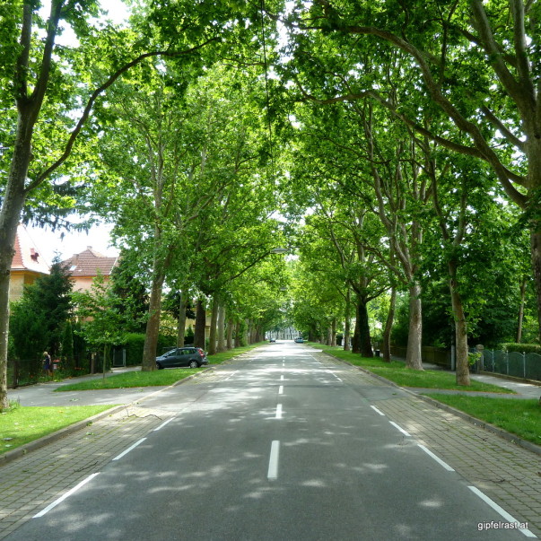 In der Eggenberger Allee