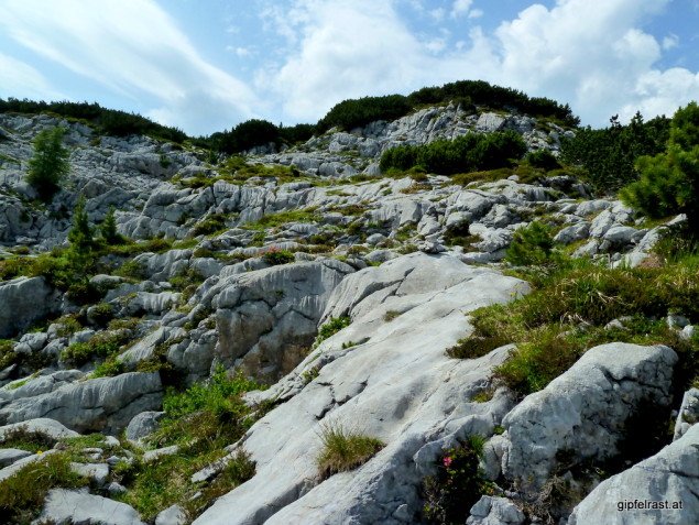 Aus dem Kalkstein hat das Wasser Jahrtausende lang sie verschiedensten Formen herausgearbeitet.