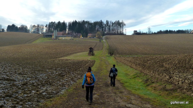 Durch weite Felder nach St. Ulrich