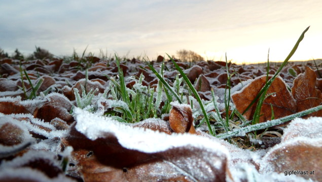 ...regiert im Schatten noch der Frost