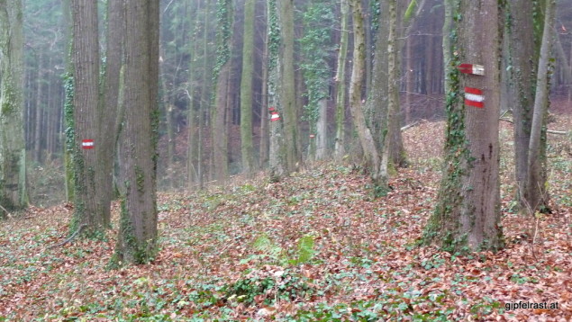 Der Abstieg nach Wolfsberg ist gut markiert. Aber wo ist der Weg?